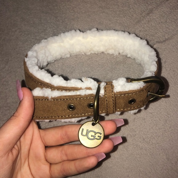 ugg dog sherpa